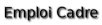 emploi-cadre.com logo